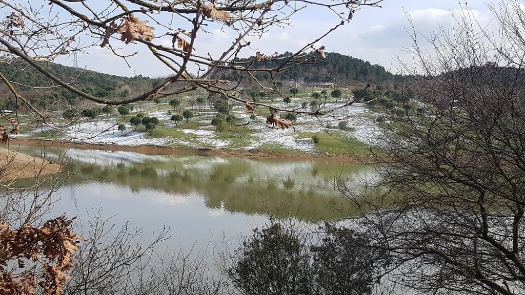 Kemerburgaz Kent Ormanı Trails