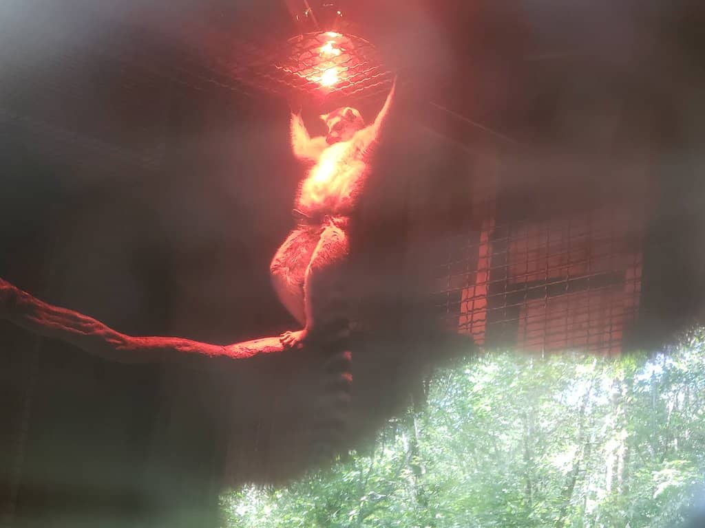 Third hero image