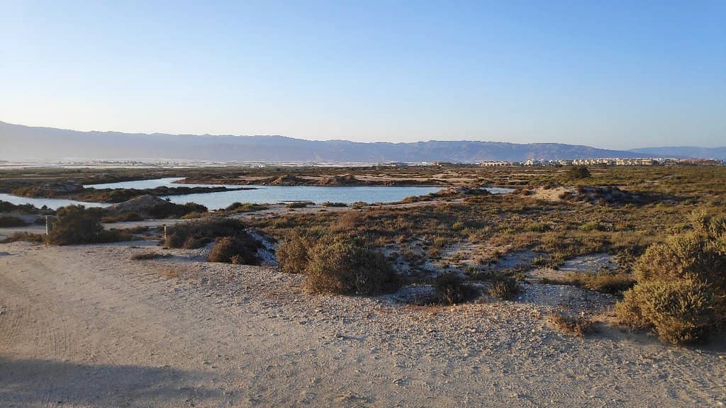 Spacious Sandy Shores