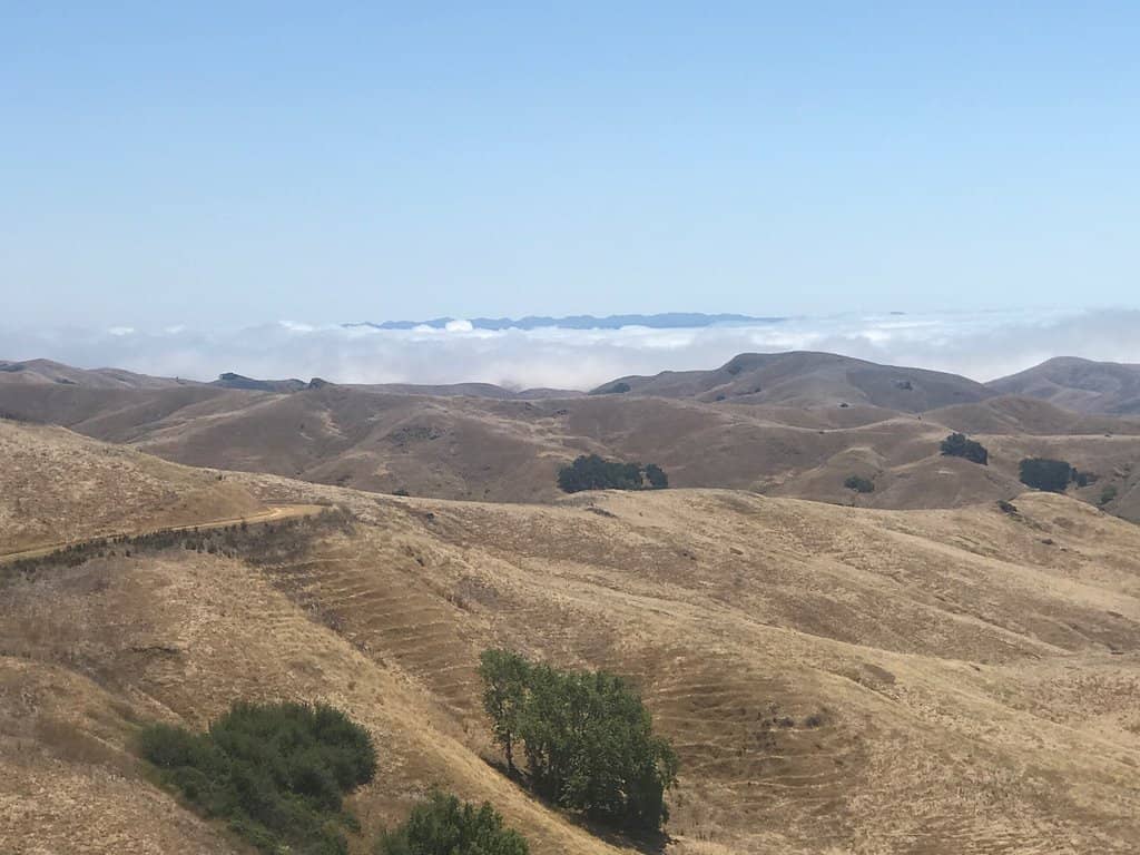 Estero Bluffs Trail