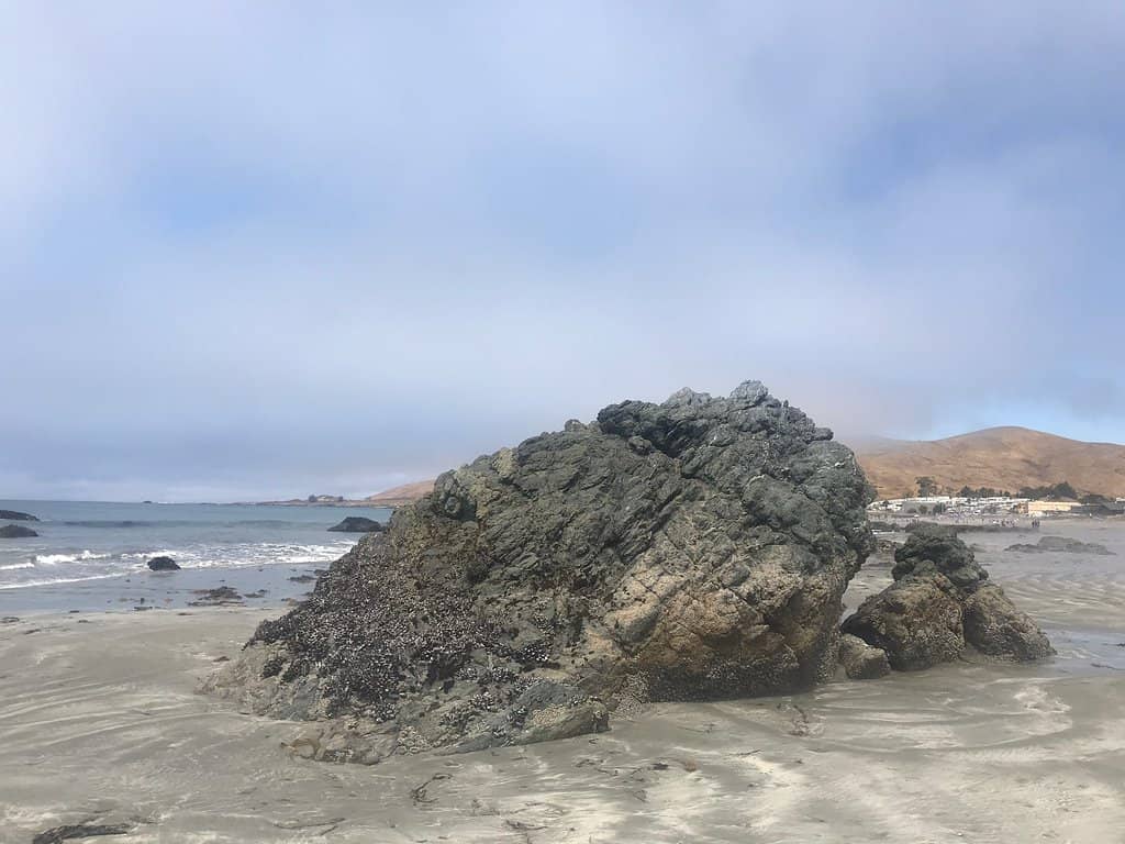 Point Estero Shipwreck