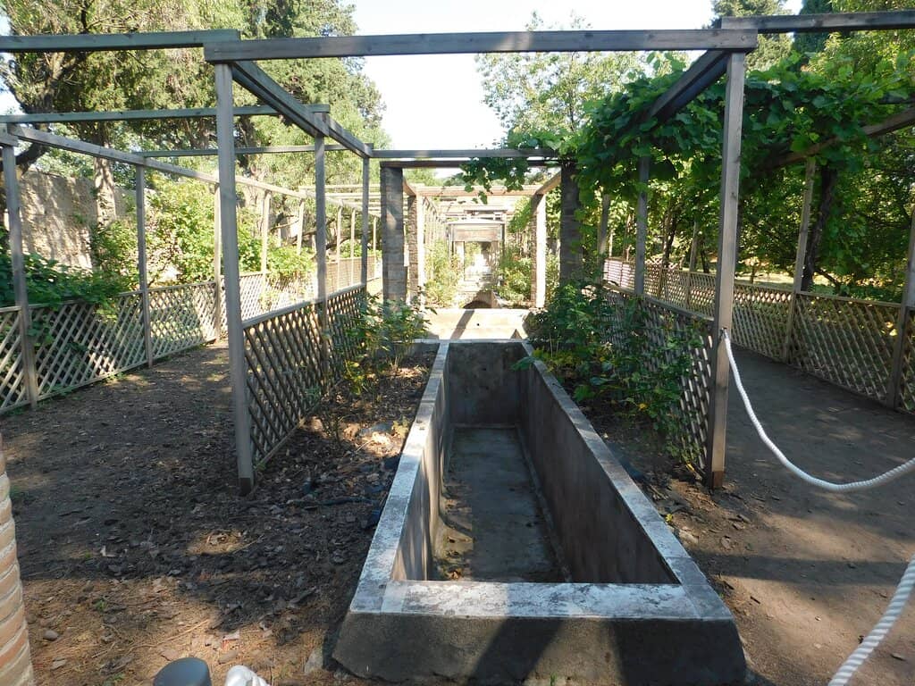 Ancient Roman Architectural Design