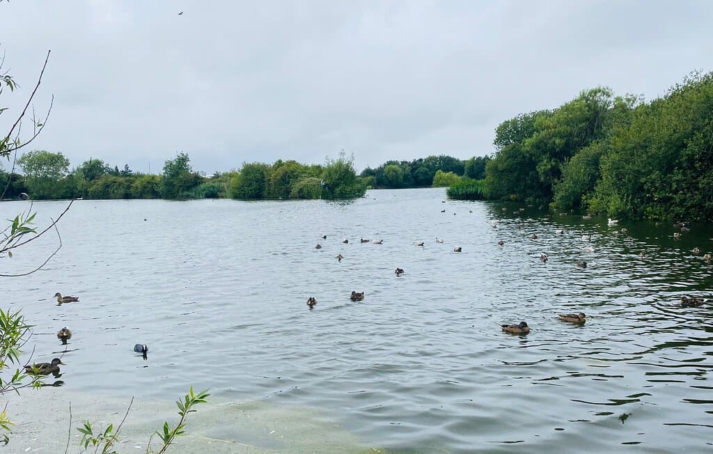 Brickfield Pond Nature Reserve
