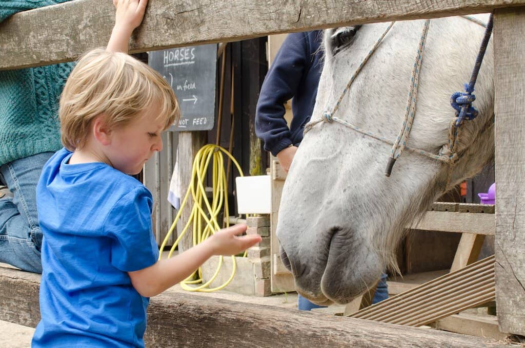 Animal Encounters