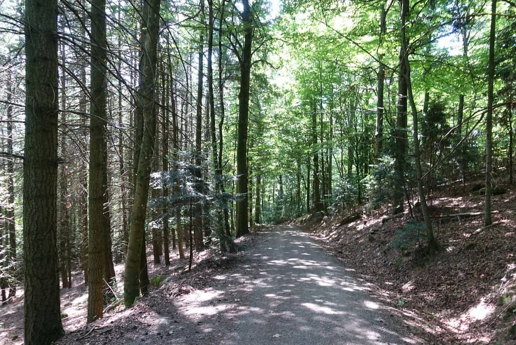 Merkur Mountain