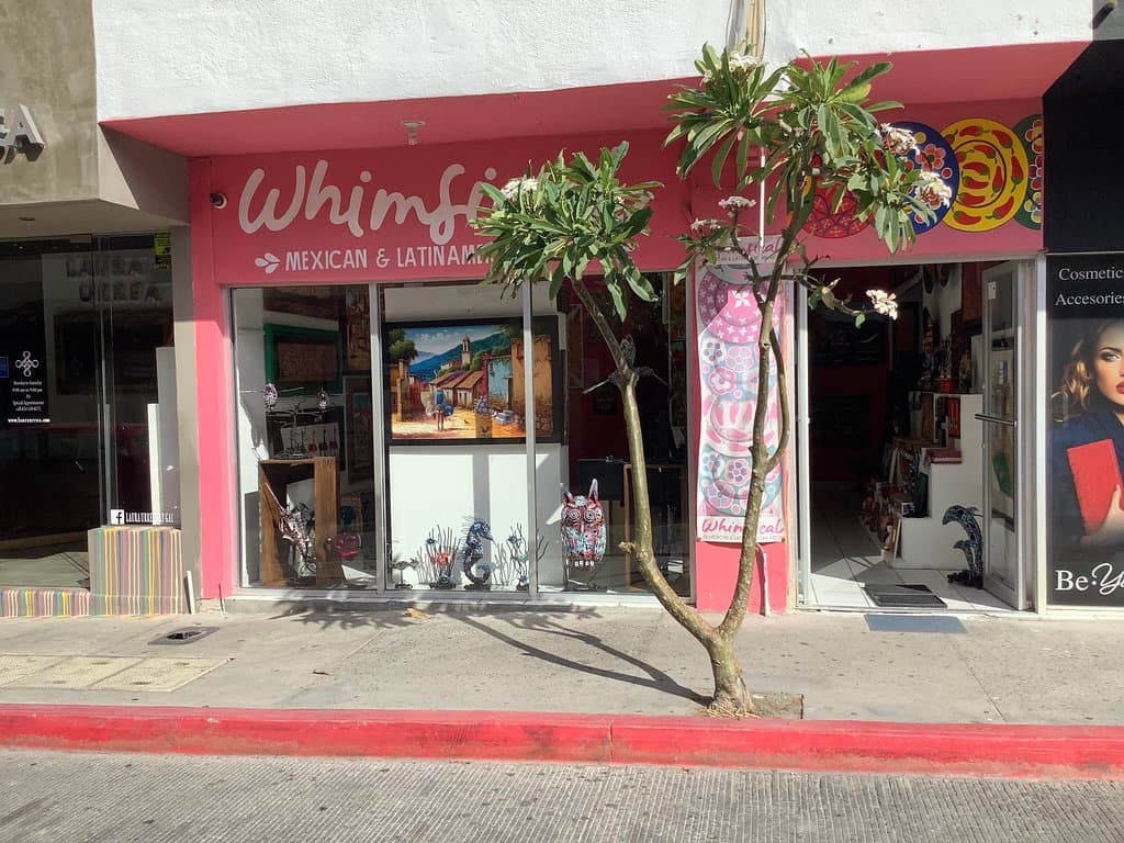 Whimsical Art Cabo