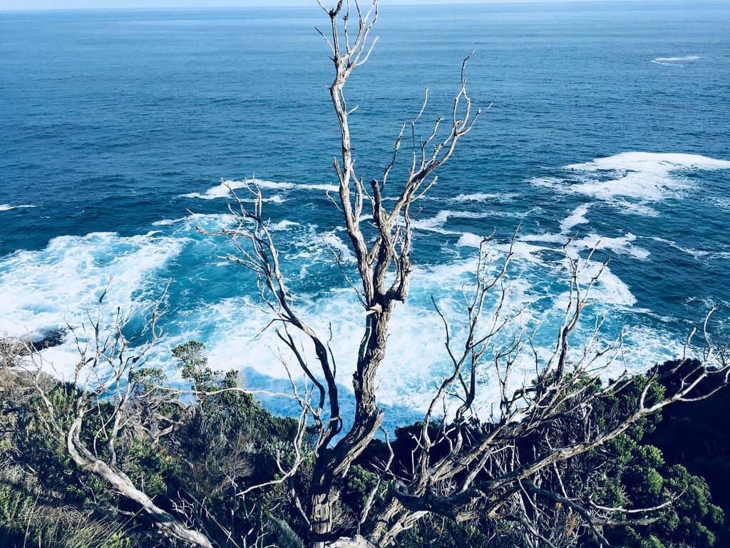 Vertical photo