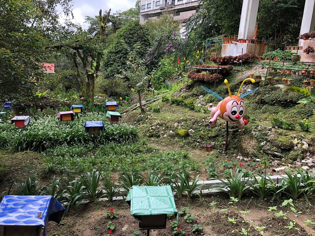 Honey Tasting & Shopping