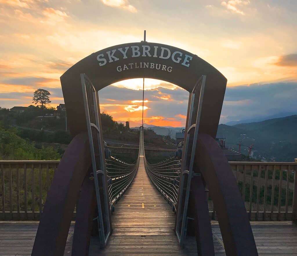 Intermodal Connectivity