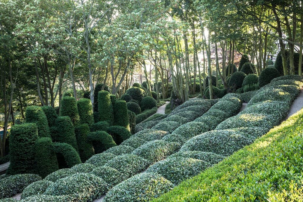 Panoramic Sea and Cliff Views
