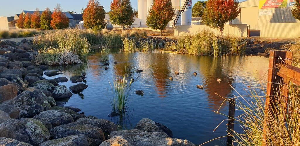 The Railway Lands Mt Gambier SA wetlands area