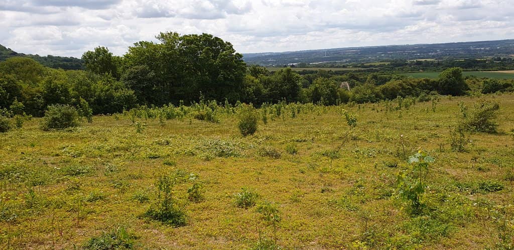 Panoramic Countryside Views