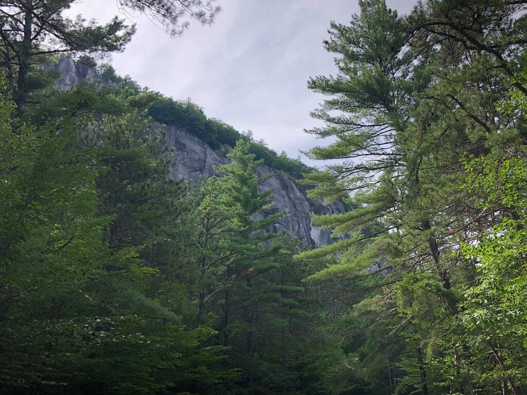 Vertical photo