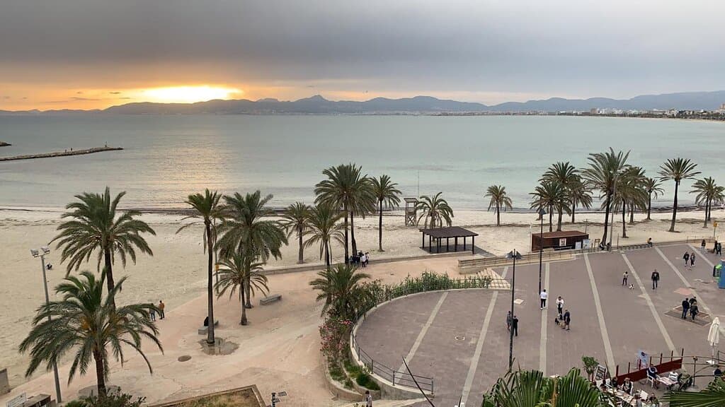 #playadepalma #platjadepalma #mallorca #majorca