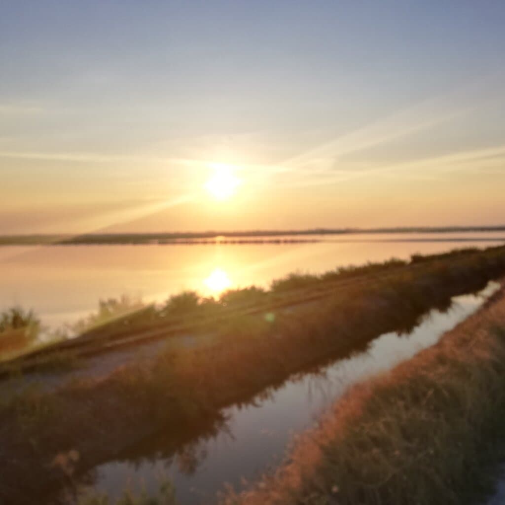 Visita alla salina di Cervia