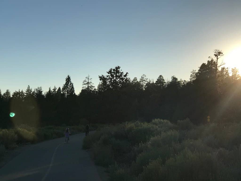 Family & Pet Friendly