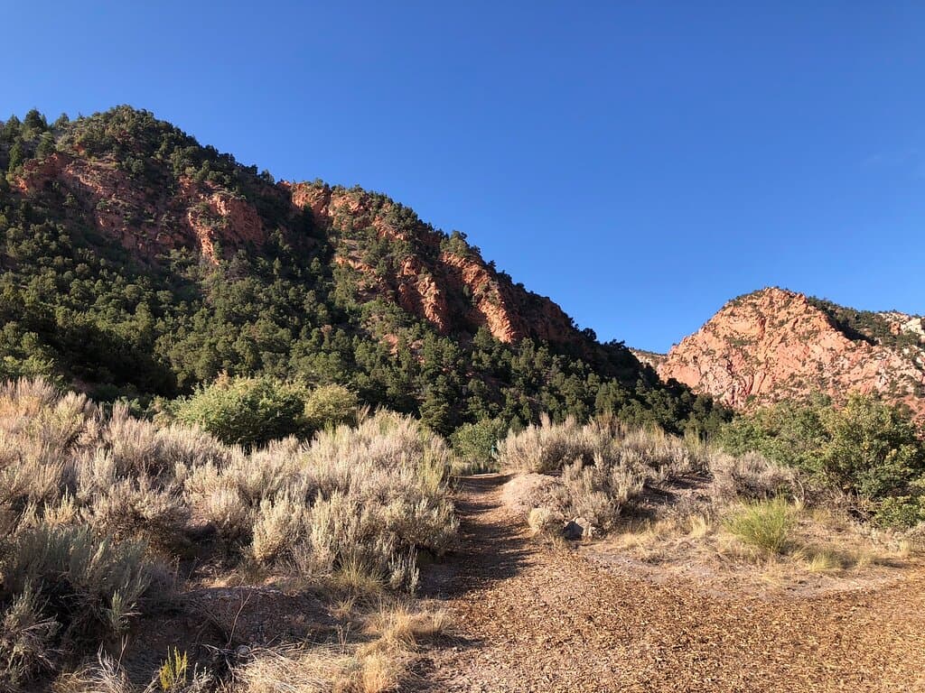 Coal Creek Trail