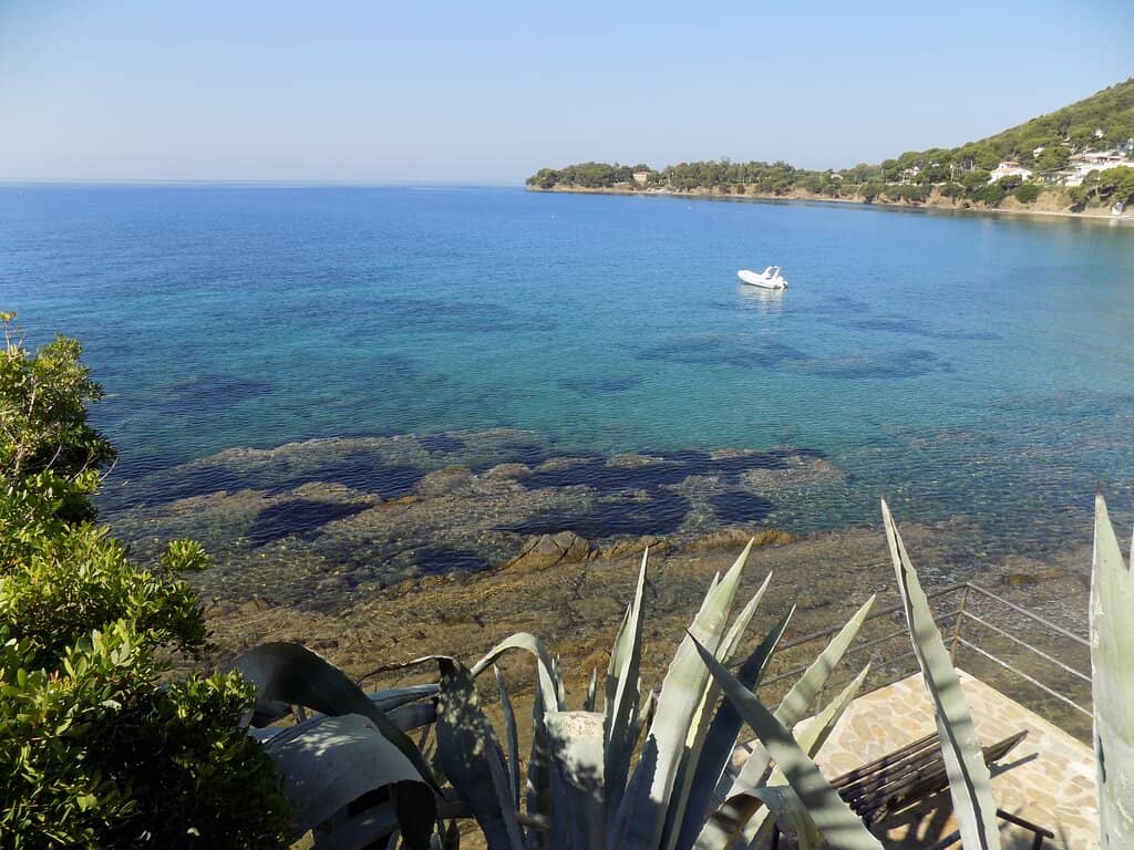 Refreshing River Swims