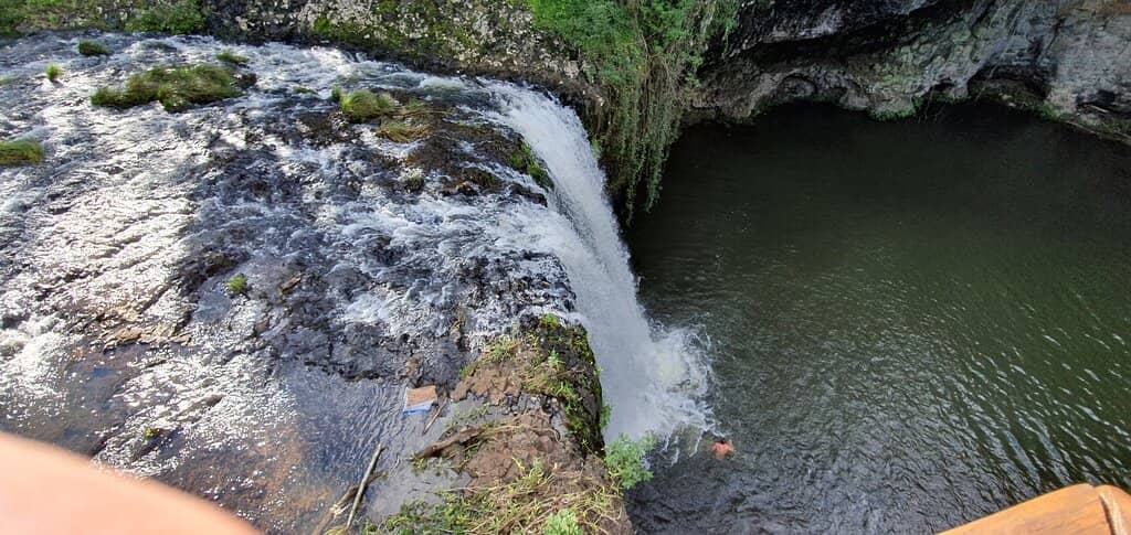 Refreshing Swim Spot