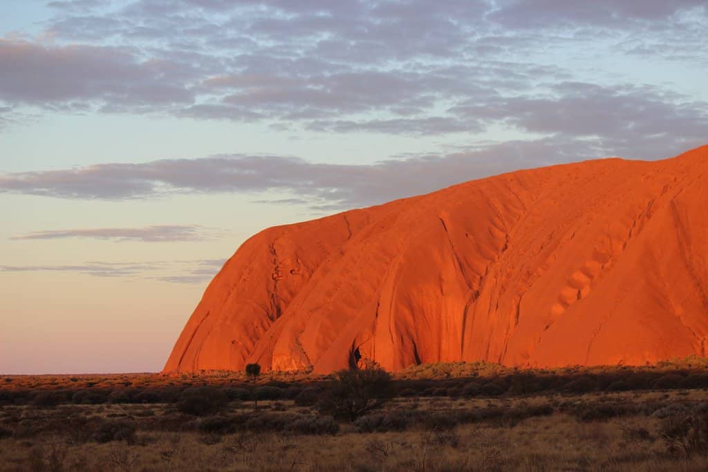 Local Anangu Art Styles