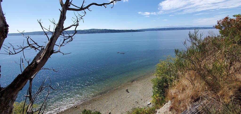 Trail Bluff View