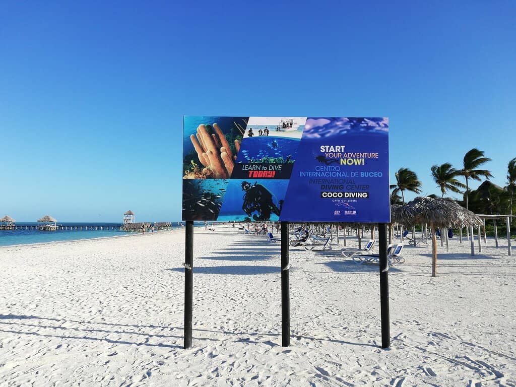 Reef Shark Encounters