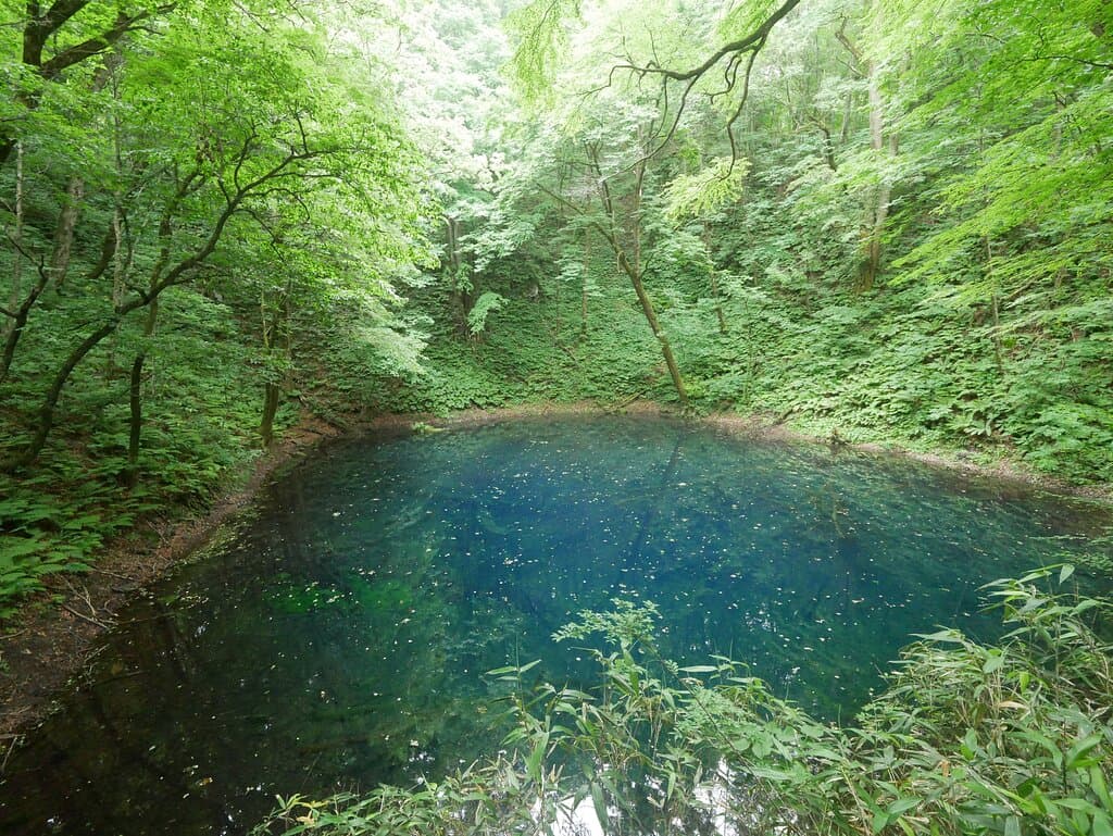 aoike shirakamisanchi02