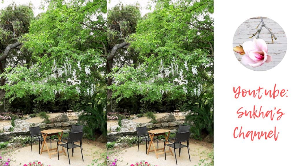 Tranquil Teahouse