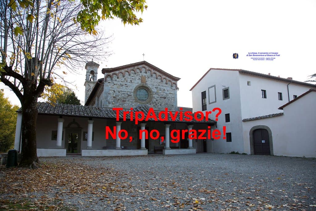 TripAdvisor, no