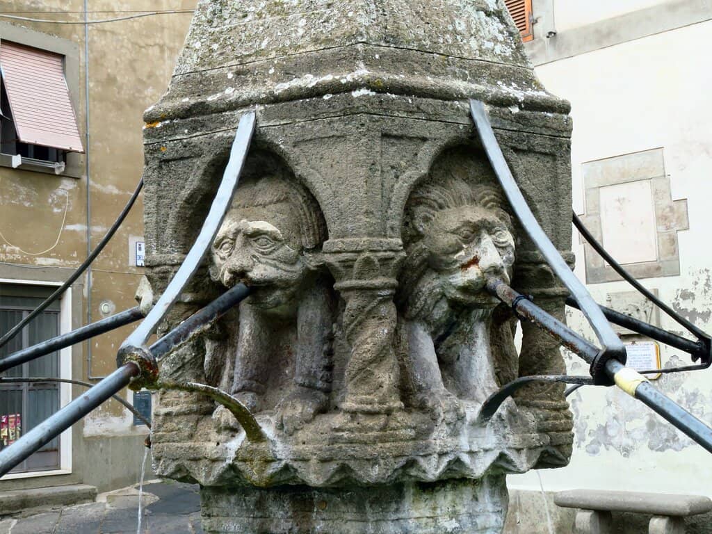 Vertical photo