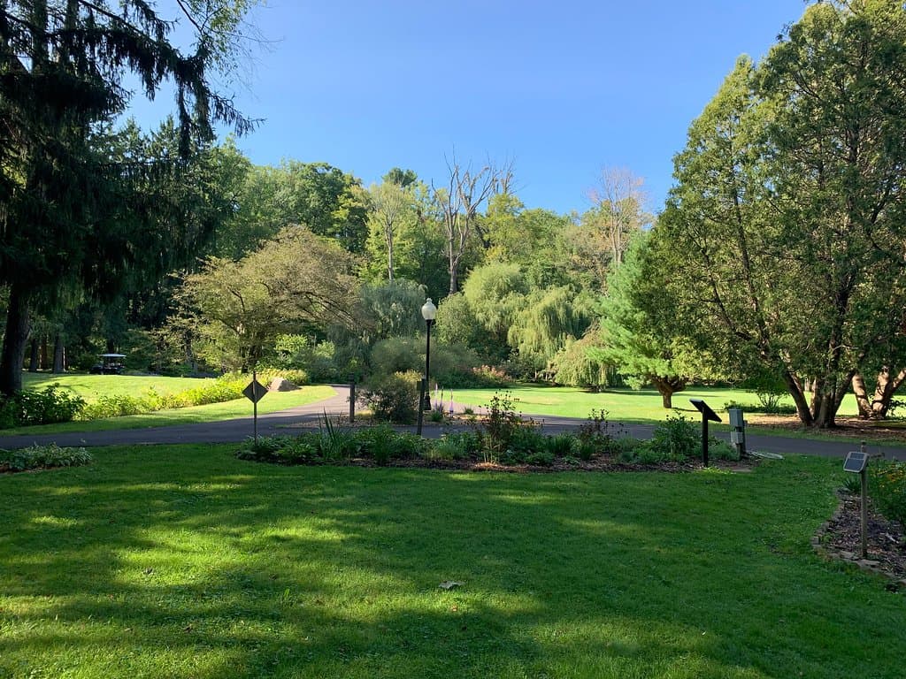 view of the gardens, woods