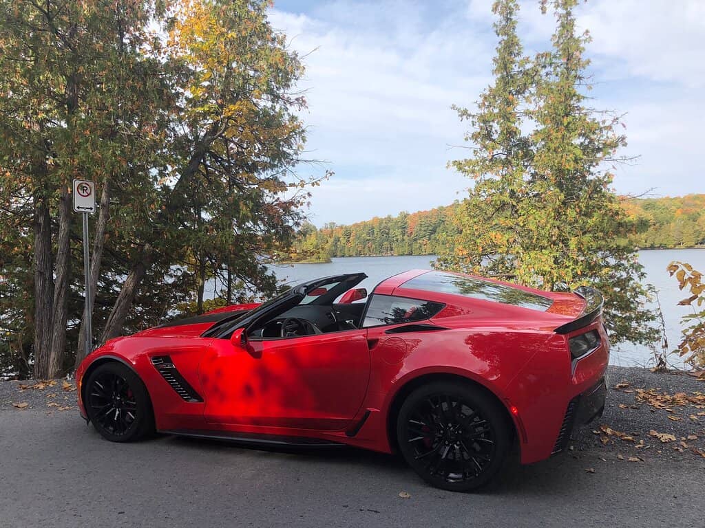 Fall Foliage Spectacle