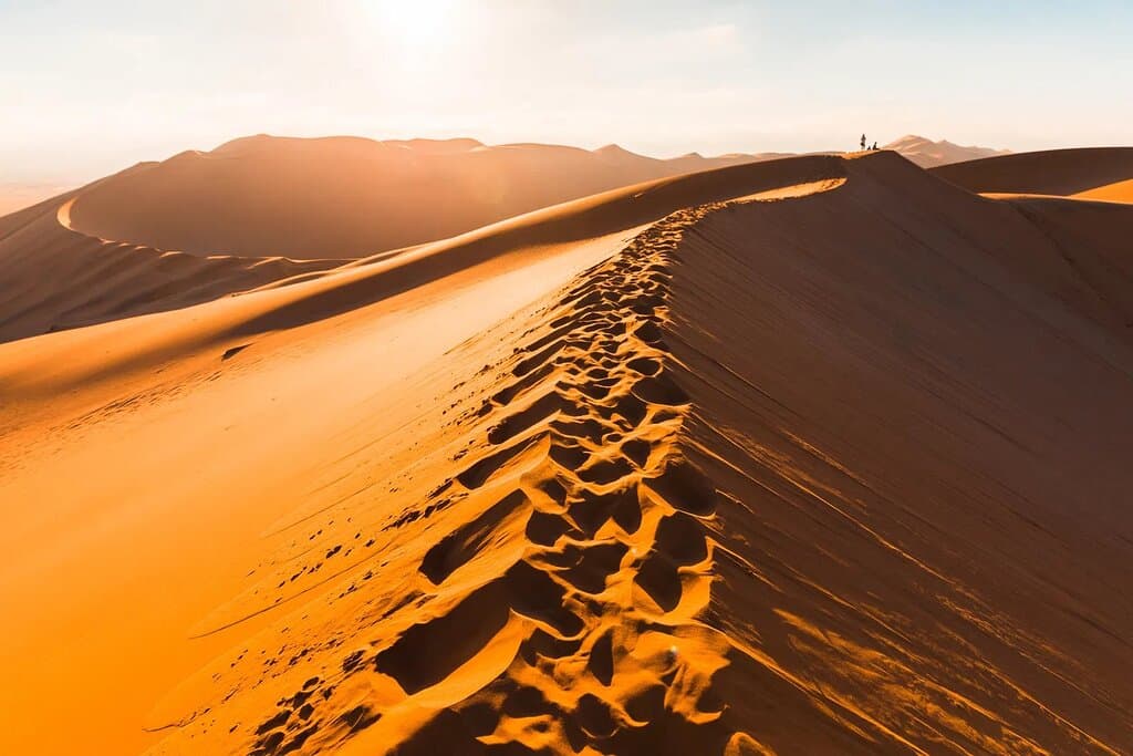 Dune 7 located along the central coast of Namibia, just outside the town of Walvis Bay. It’s the highest sand dune in the world and its impressive colour features range from sandy brown to shades of yellow and orange, depending on the position of the sun. Climbing to its peaks is a truly unique experience and once you reach the summit take a moment to appreciate the epic beauty of mother nature.
Allow Cardinal Lodges & Leisure to help you experience all of Namibia - www.clsa.co.za