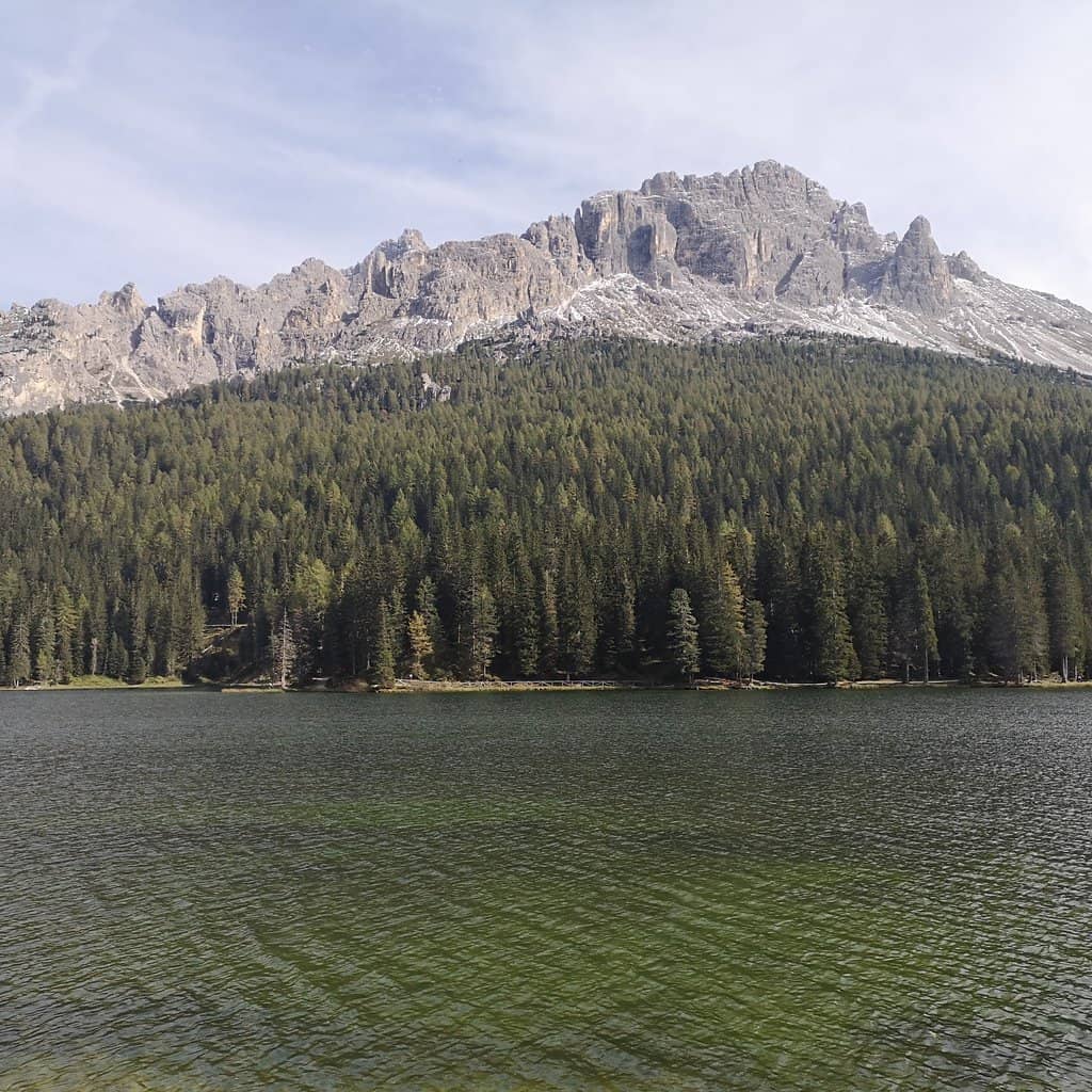 Scenic Hiking Trails