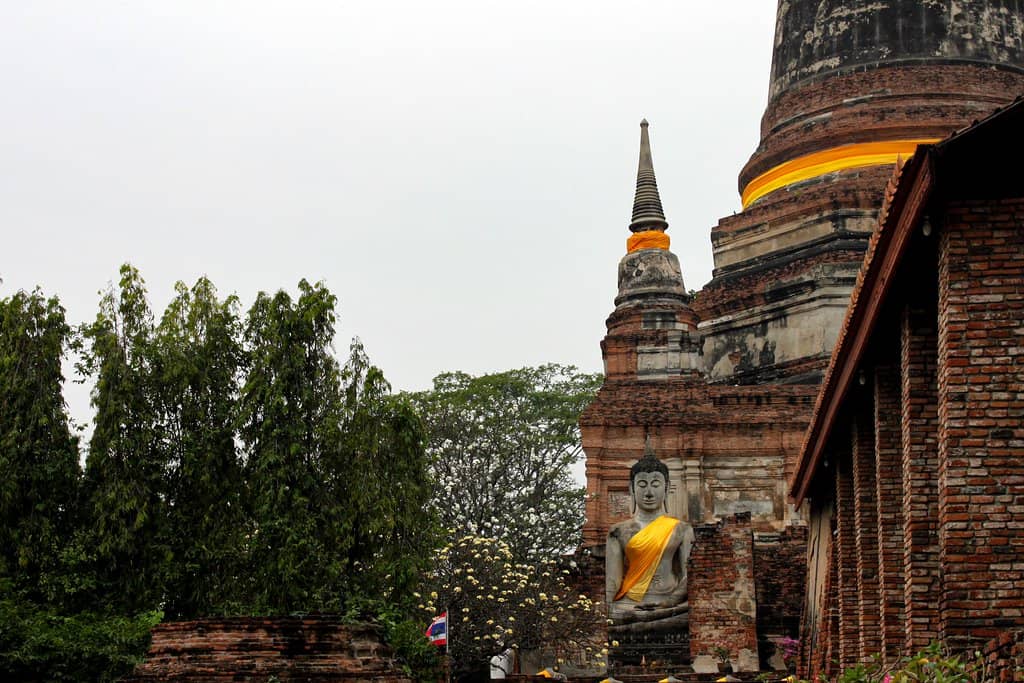 Rows of Buddha Statues