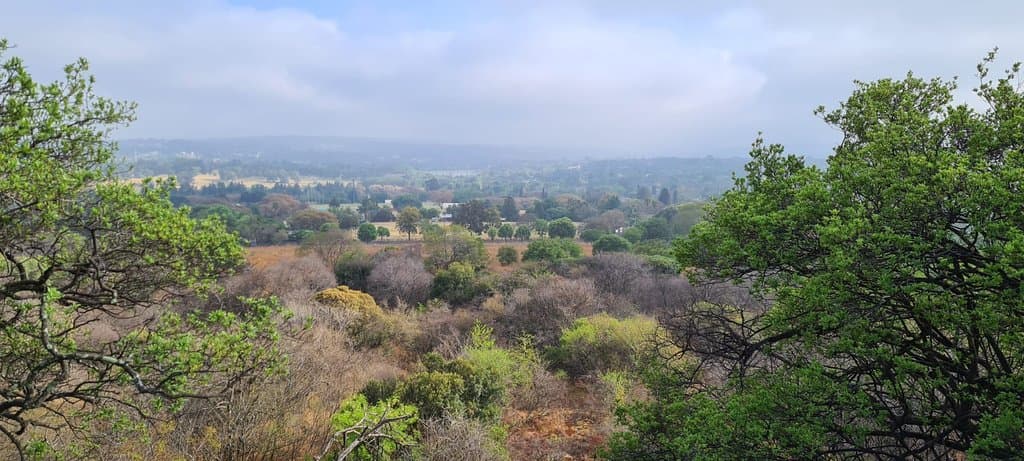 Melville Koppies Nature Reserve Johannesburg