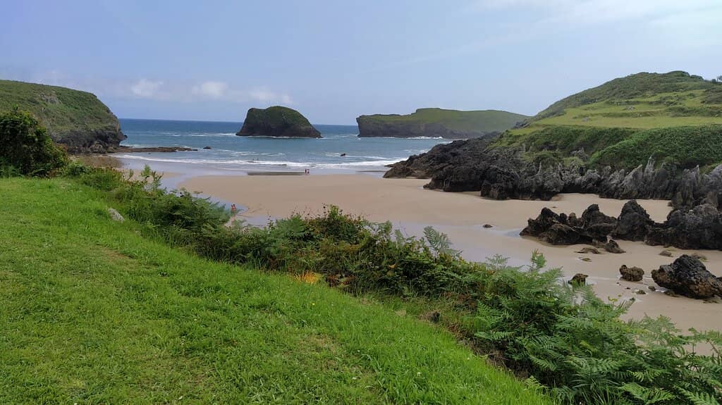 Low Tide Wonders