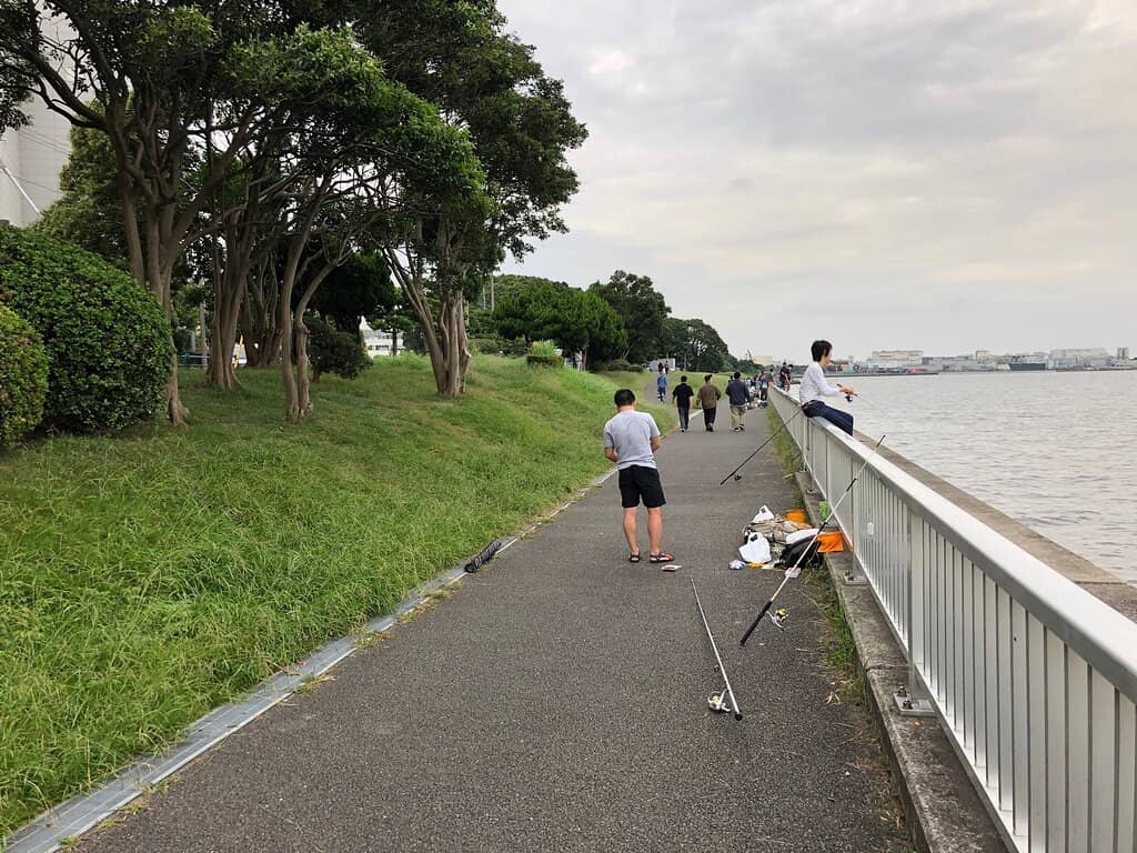 Tokyo Bay Vistas