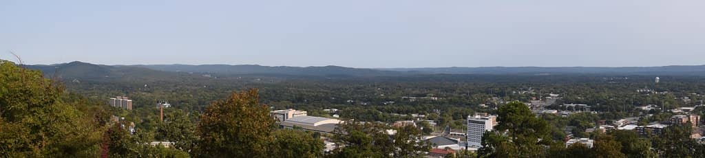 Lush Greenery and Scenic Views