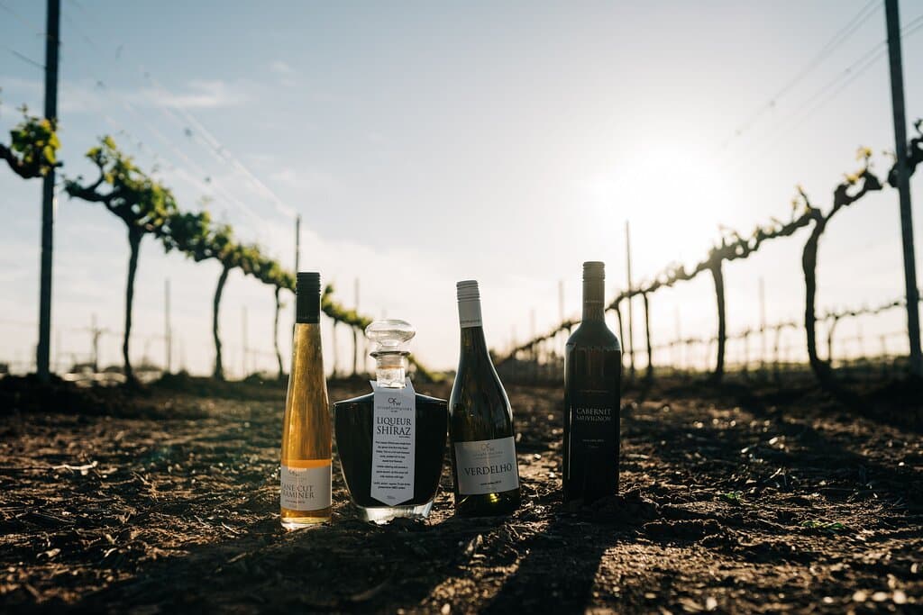 4 of our different styles pictured in the vineyard in early September