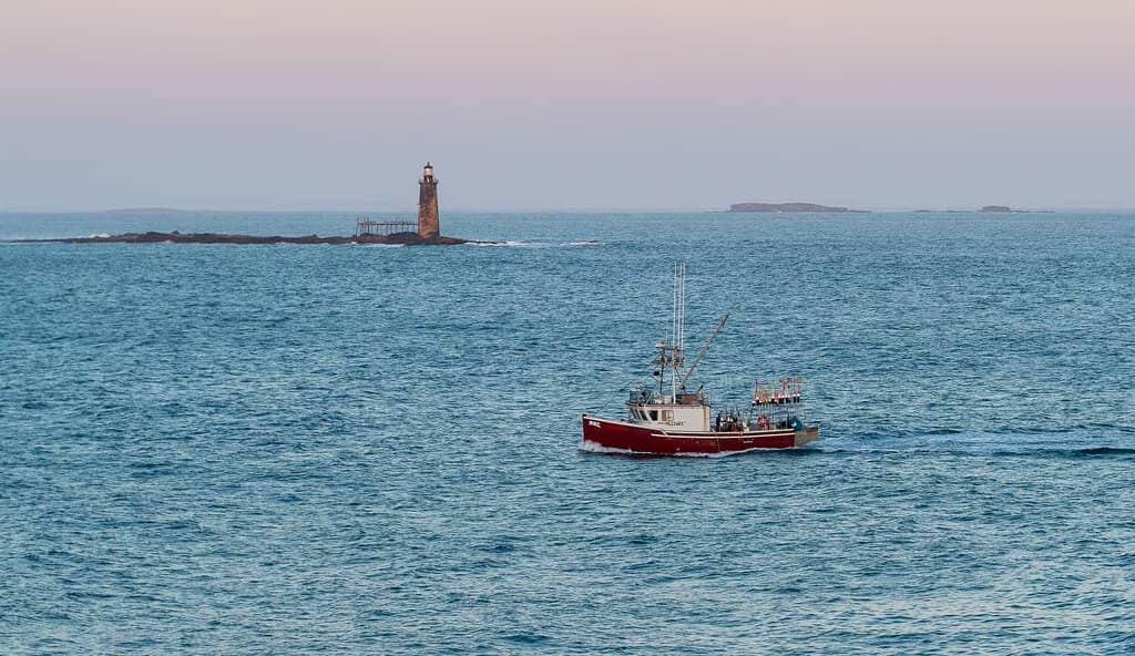 Fort Williams Park Views