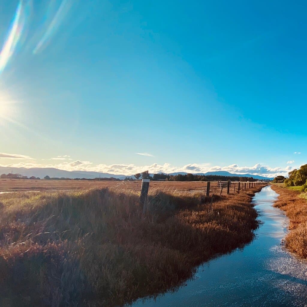 Wairau lagoon
