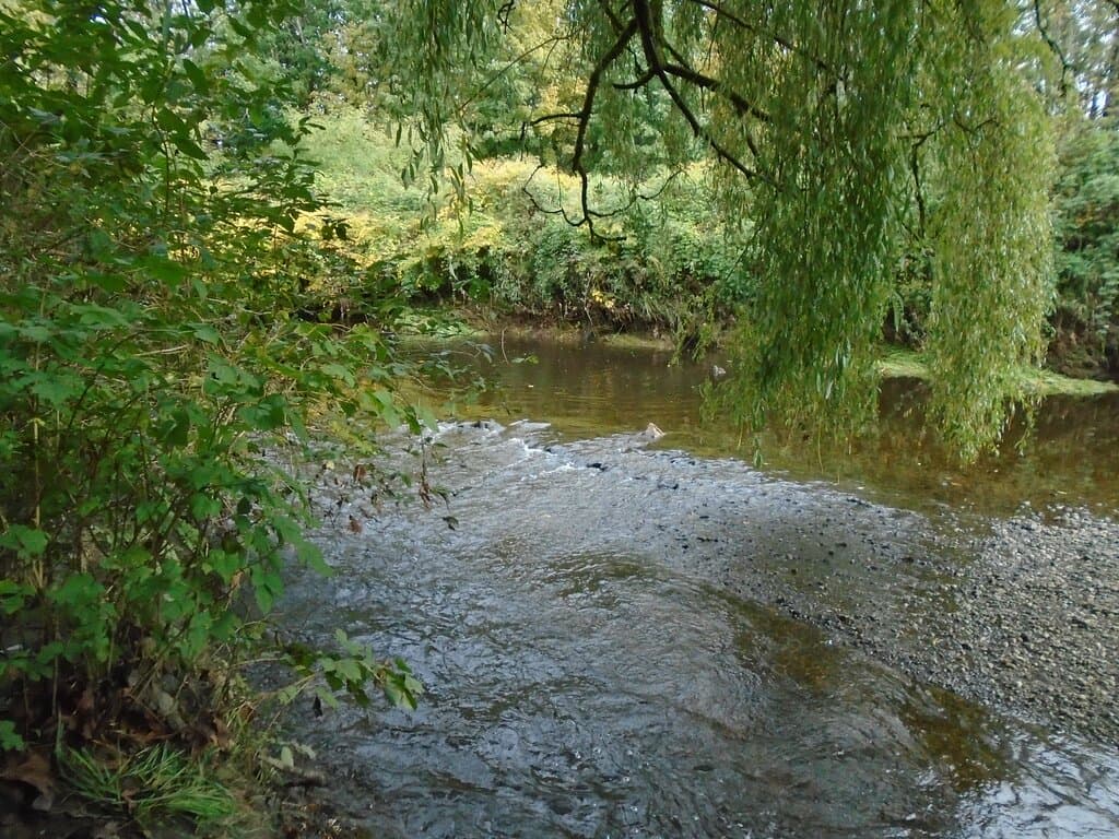 Brunette River