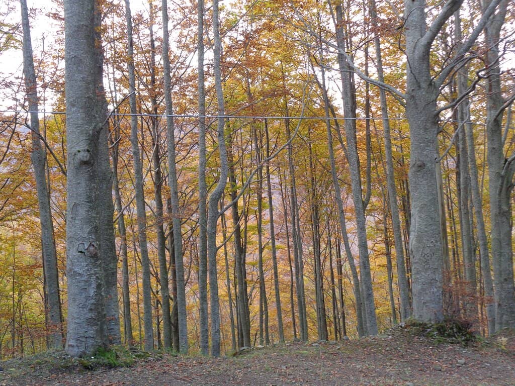 Cascate del Dardagna