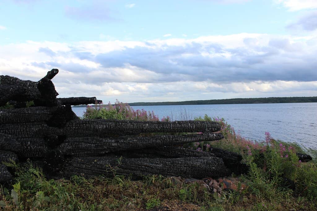 Stained-Glass Windows