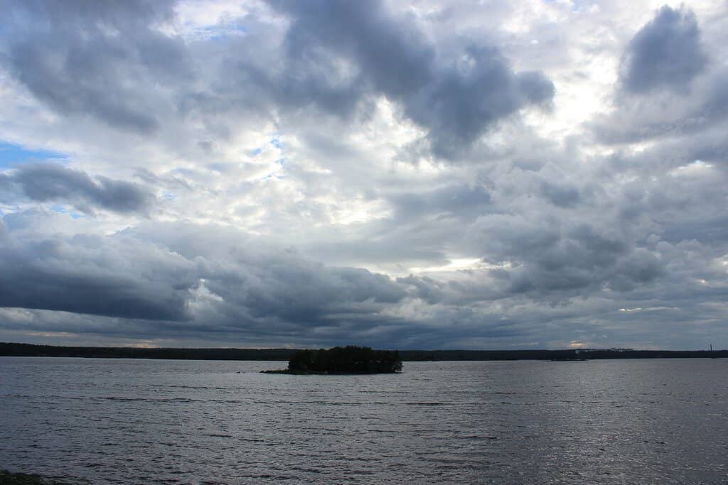 Painted Gothic Vaulting