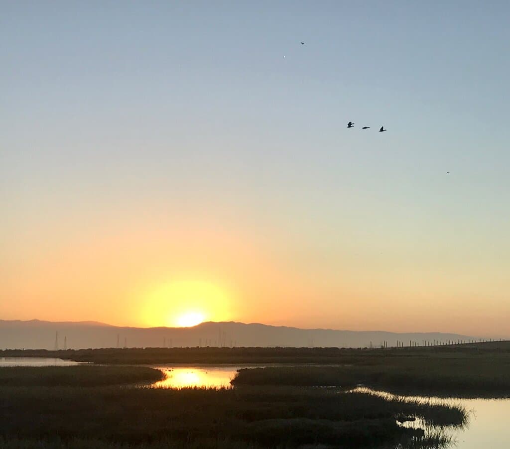 Baylands Nature Preserve Palo Alto