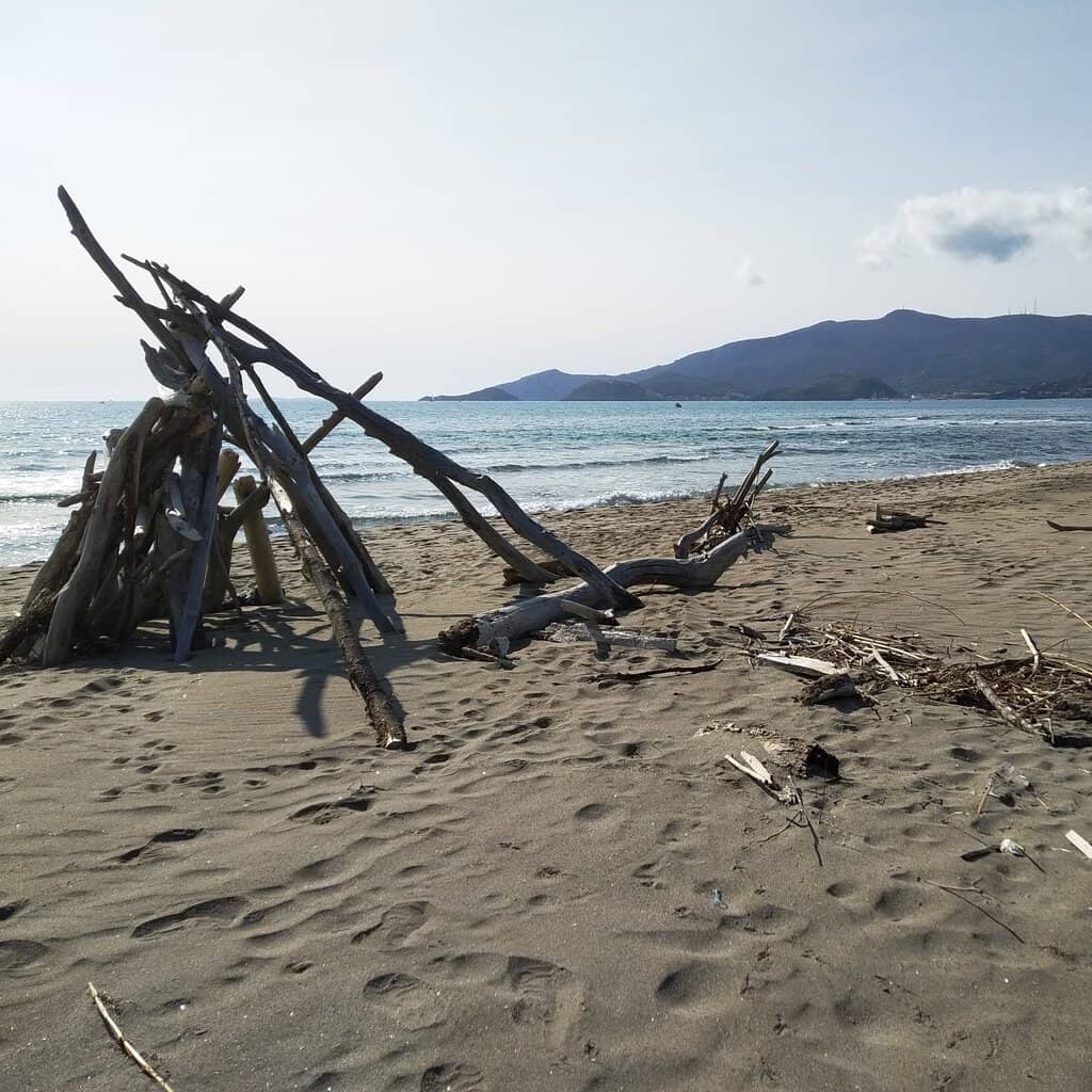 Dog-Friendly Paradise