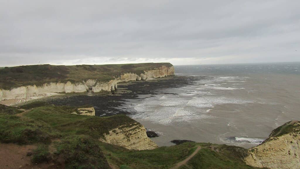 Abundant Seal Colonies