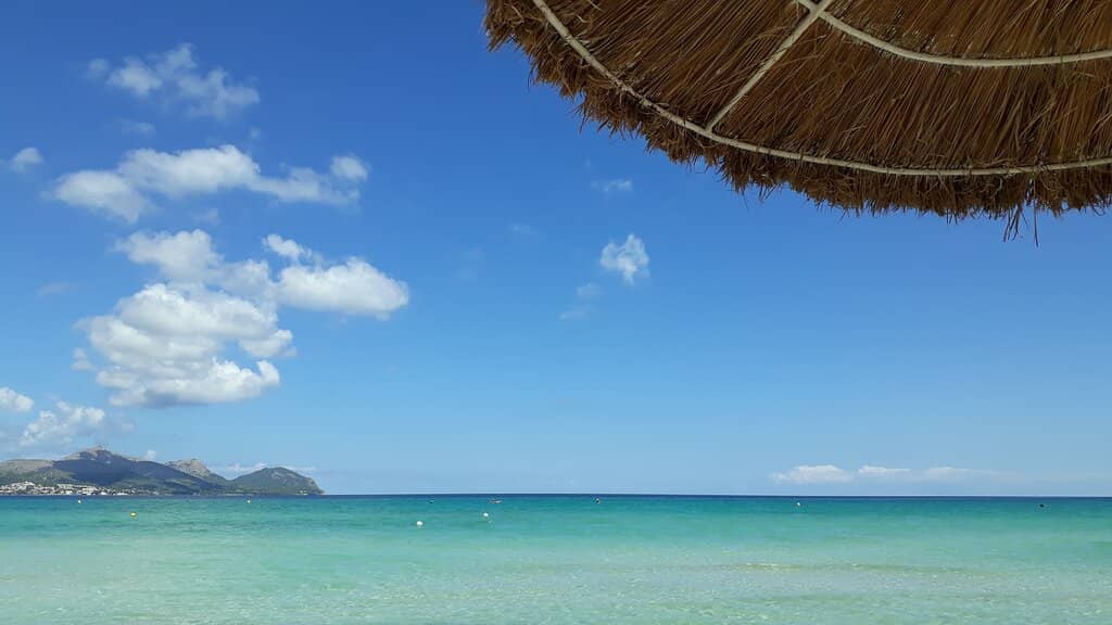 Natural Dunes & Pine Forests